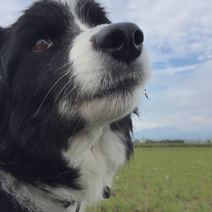 09ada803 6dc4 434f 9427 cb47d30cda15 1552954590365