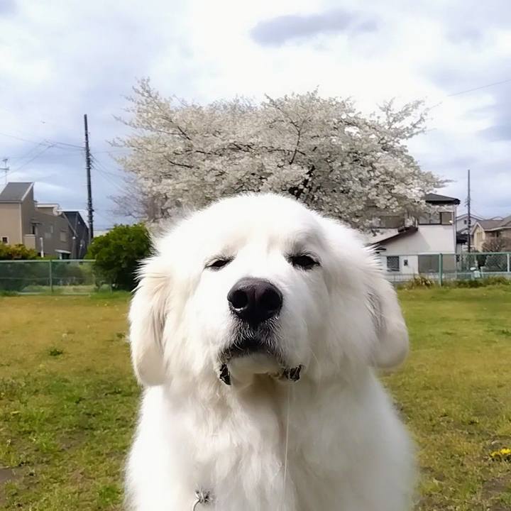 09adc96c 3361 4534 b01b d805b9c76f49 1679647400955