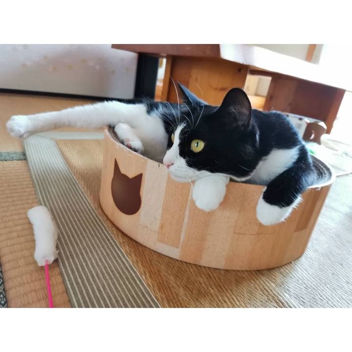 09ade958 db8d 4fcf a70e 3480a046be3d 1630901026117