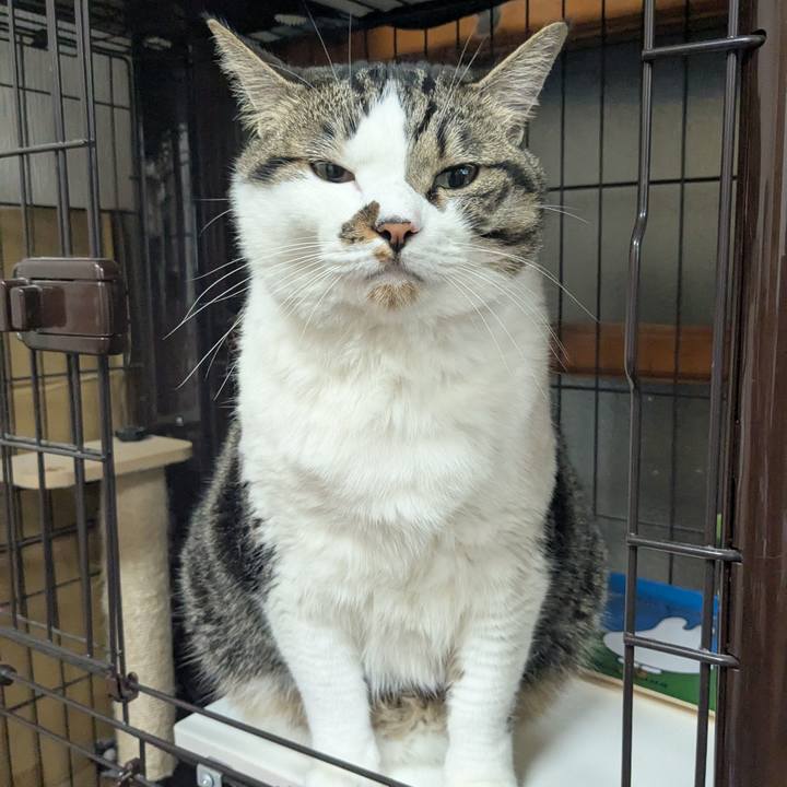 09ae2af2 fbf2 446b 80ea 95c4f93bbebb 1752234510940