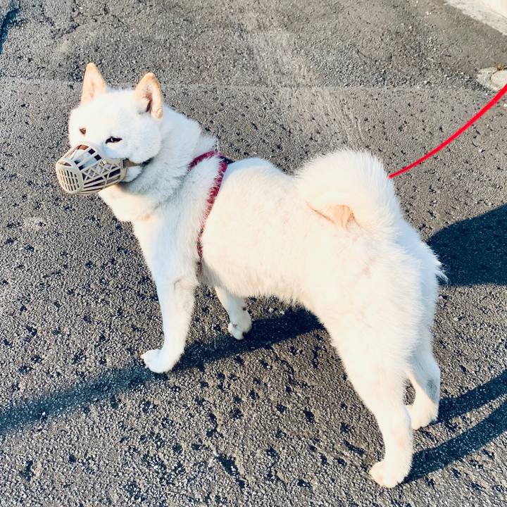 09ae45de 9610 47c0 9eda 48d11011414c 1590266685742