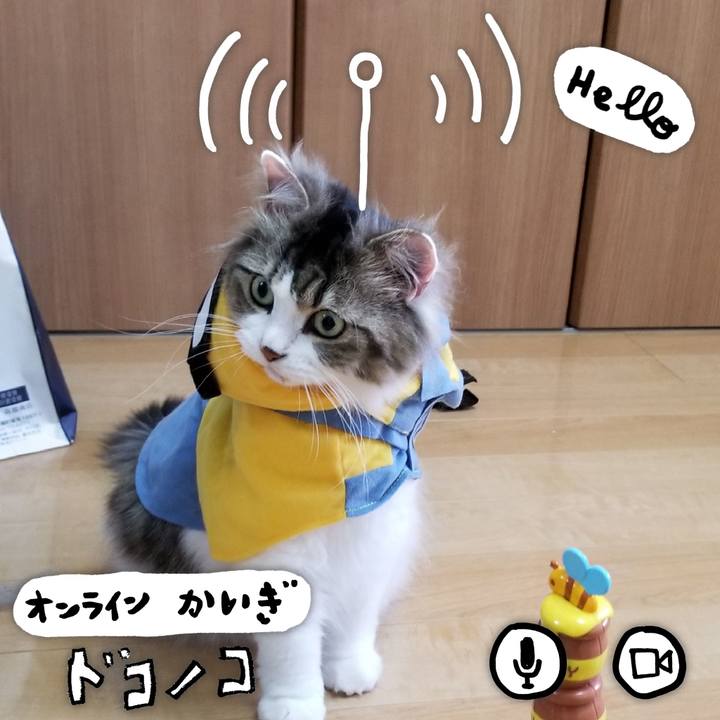 09ae48cf 6b0b 4d12 b22f fe43d5d7603b 1591347357915