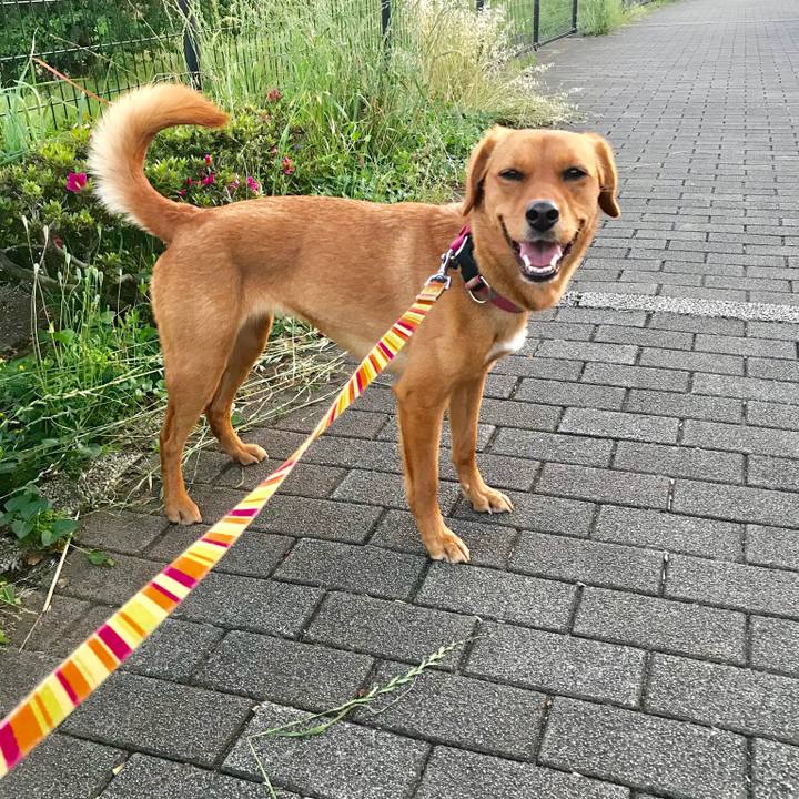 09ae5b3d 4d1c 49d6 89e5 33740d8fa0ee 1526722214625