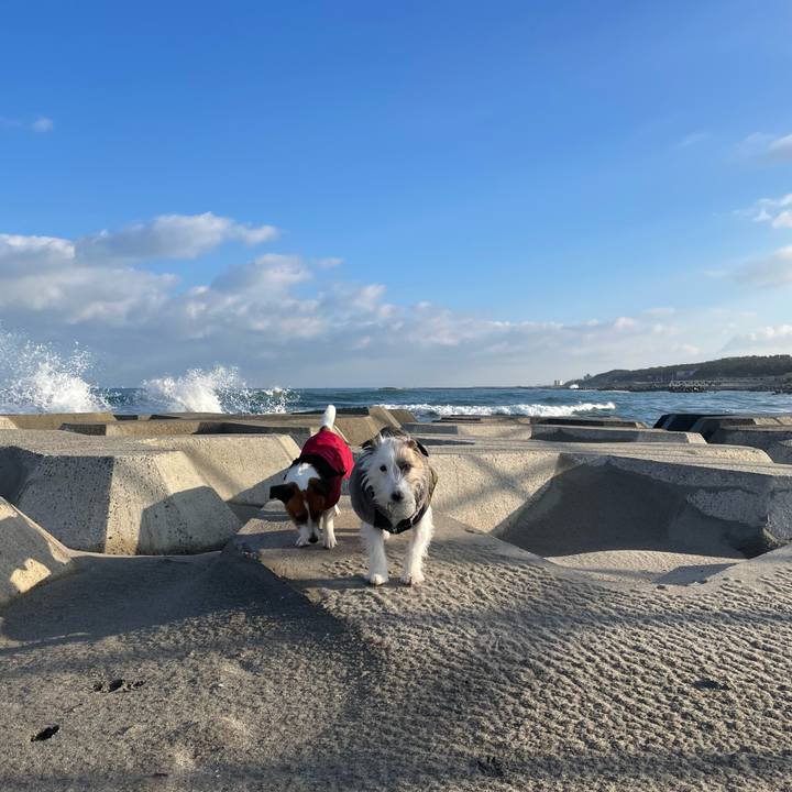 09ae8fc2 d017 4038 a107 fefa1651324f 1641777679610