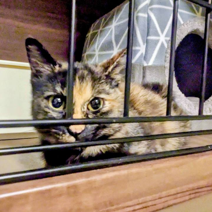 09af0c63 30a8 4813 a591 e344756c302d 1761924287893