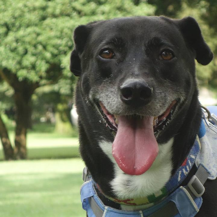 09af2ef7 3cd0 4f62 b9dd adea8b0a5fcc 1692836375345