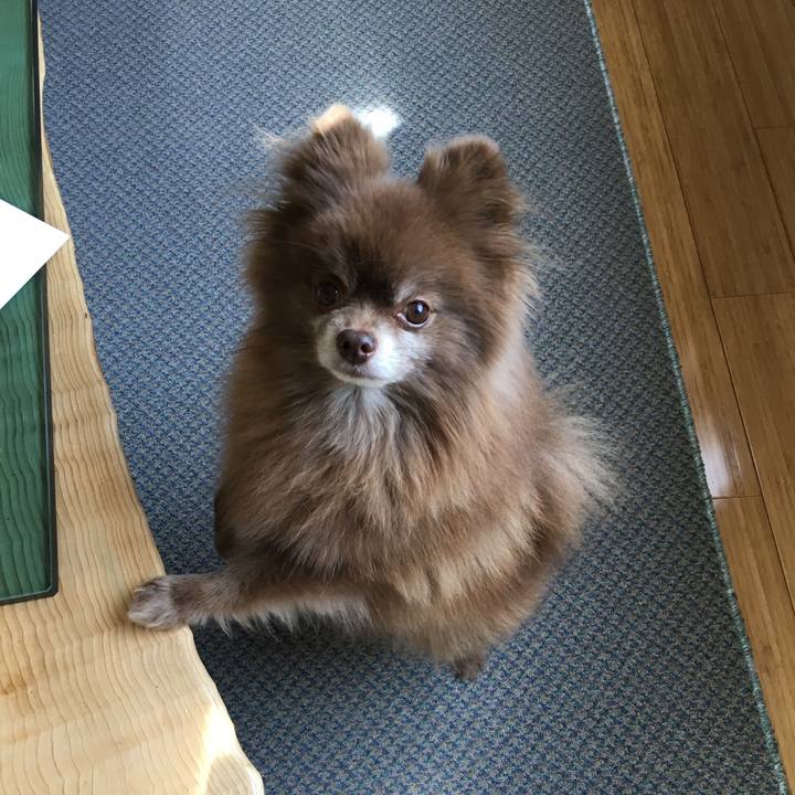 09af80b5 3310 45e2 af44 f31a0a81fd94 1525694635273