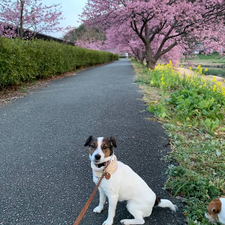 09afc865 bbb6 4202 8128 f0972b88d5db 1613034897604