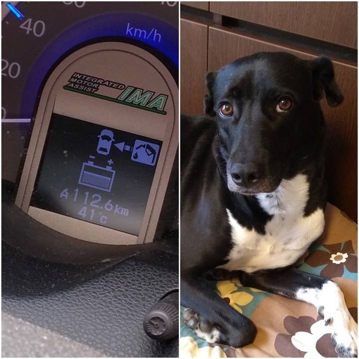 09afd75d 5e69 450c a5dd 113c29fc6631 1597552328199