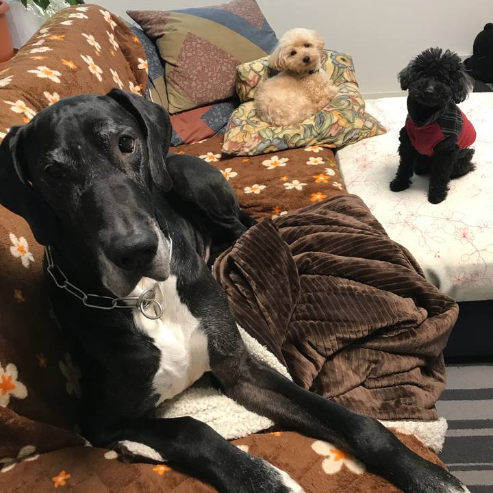 09b01089 9dce 4ee7 bfdb ef0b4c04aa87 1519857929594