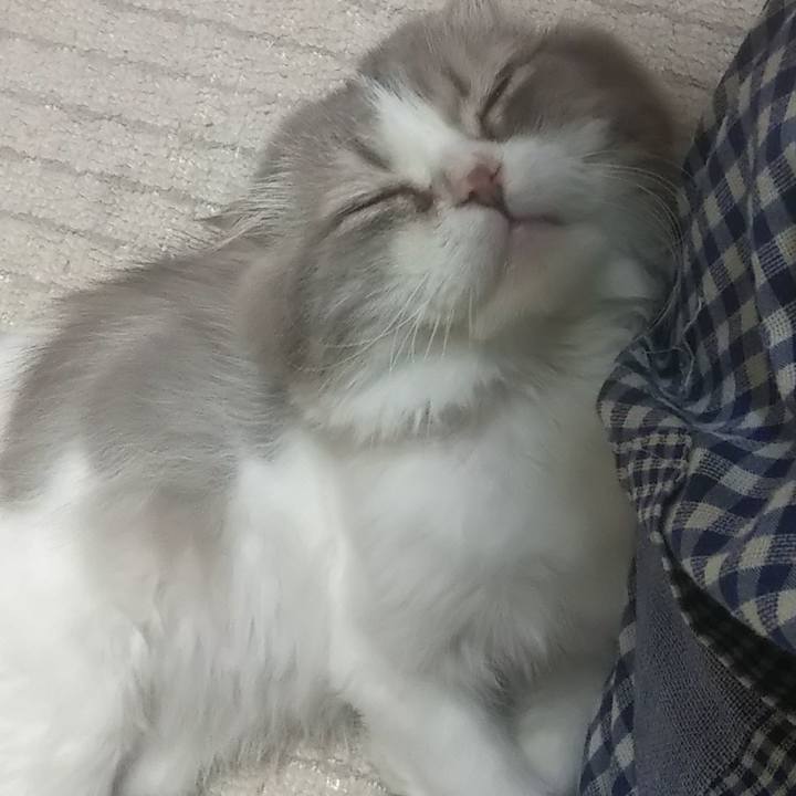 09b015d7 0586 46f8 bdd8 2938ca7a3e2a 1625830690718