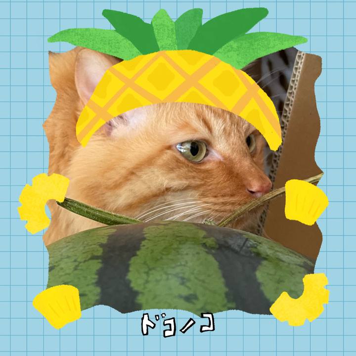 09b047a2 3171 4706 9a6c 2602c9aa21f4 1783500266884