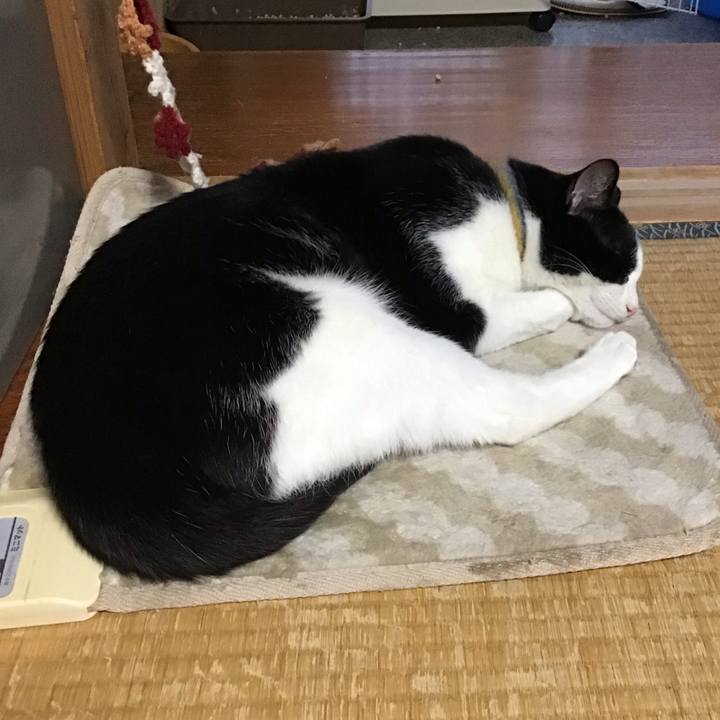 09b05d99 354a 4644 b197 8aa19c1df1d9 1652692408099