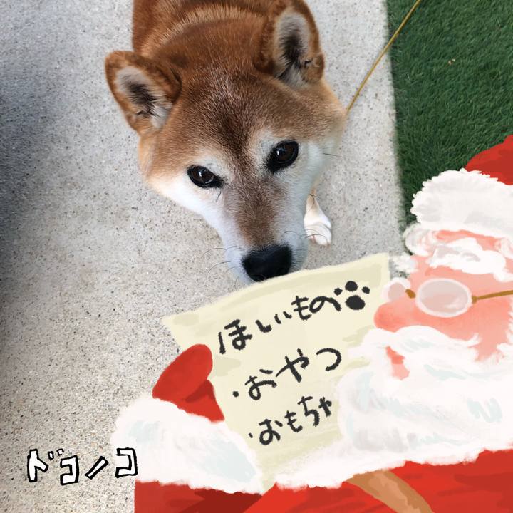 09b06333 eb97 467b 9b94 1f495cc95830 1729051465974