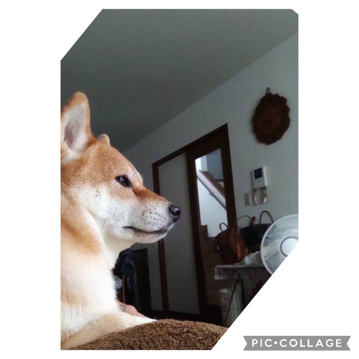 09b0754a 7dfa 45af 8c22 7e3c71be504d 1693814176098