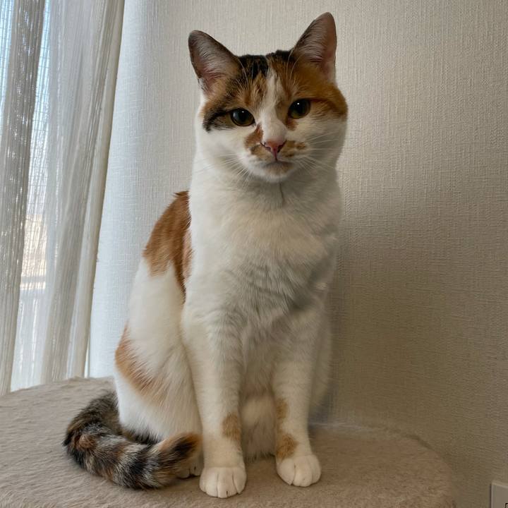 09b095d1 3519 40ee b020 84ed299f2aaa 1609976180464