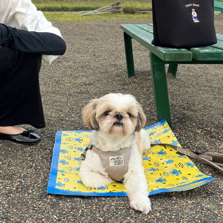 09b0a75d bb9d 44c4 af08 d7d84754364a 1718208537906