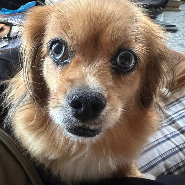 09b0a843 252e 4ae1 93cf f92e6c578338 1692220267575