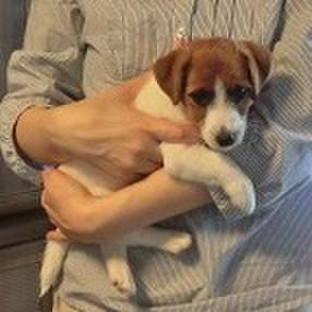 09b0a91b 0dea 493e a870 b1c697d27015 1528146142774