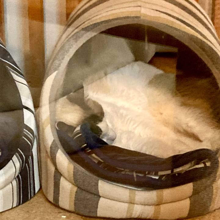 09b0b841 4e97 4534 b1f4 89193db8e8b4 1676978457859