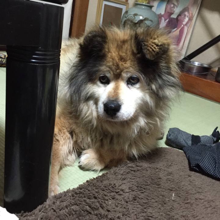 09b0dbce ad45 4eff 9adb f842a20d152e 1598882298154