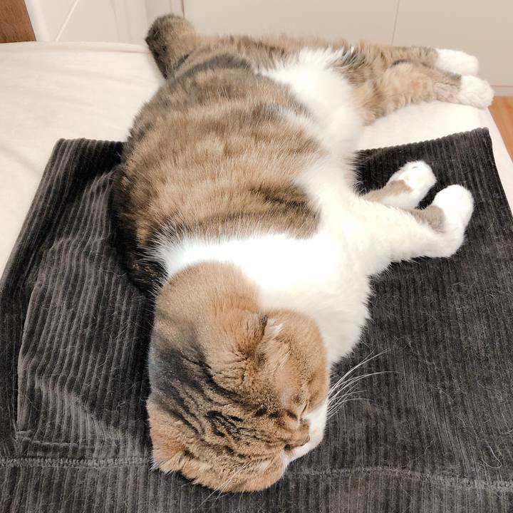 09b0e55d 86b4 4db4 9124 46c9a1bd5a85 1595317038289