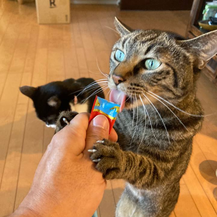 09b10e35 9686 48f4 ad81 4a78aea13894 1667391637625