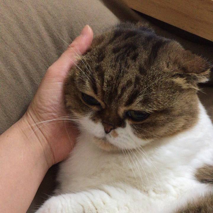 09b11469 7690 41f7 baf3 6be90e047cf6 1509267427790