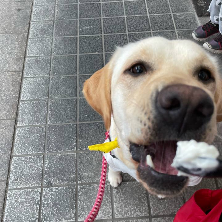 09b143aa 8c32 4995 a863 4849d49e3a3e 1650010969281