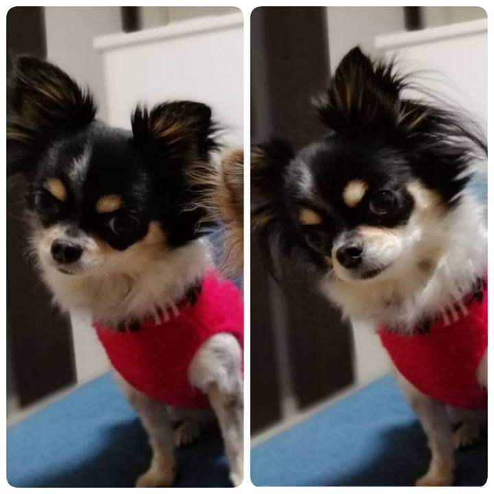 09b14438 7538 4773 ac3b ae65382db74c 1587250637700