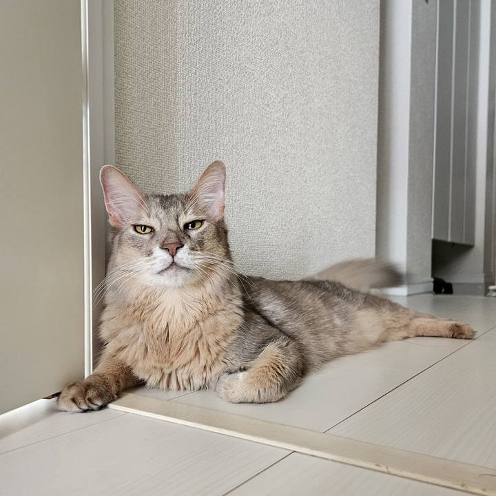 09b14569 915a 446f 926a 6c4a02b0042e 1727762759211