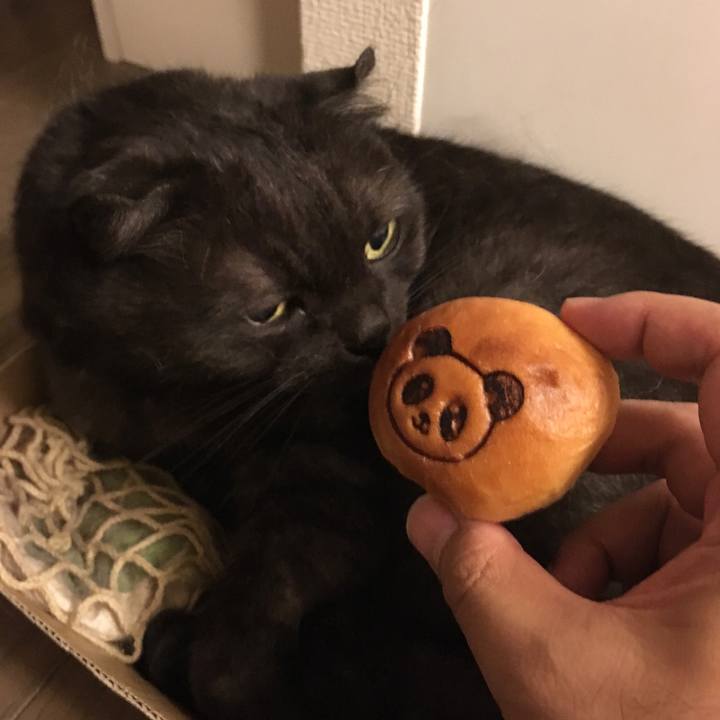 09b1a439 3122 46b4 8f73 3d8b9f280e19 1535903655741