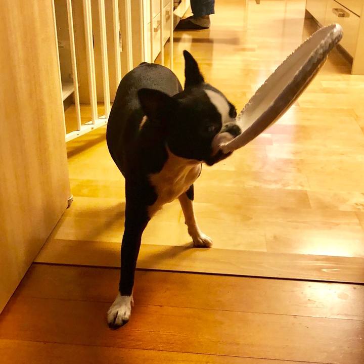 09b1b60b d38e 4bc8 acc0 3604e5cd350b 1536552537614