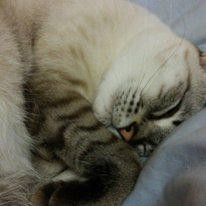 09b1c091 b3dc 4fc0 ab8b 24a6162d1cfc 1512049720498