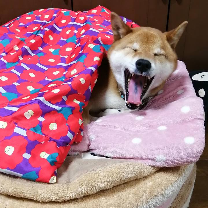 09b1ec24 0225 4661 9601 66b49dcbea50 1584611130660