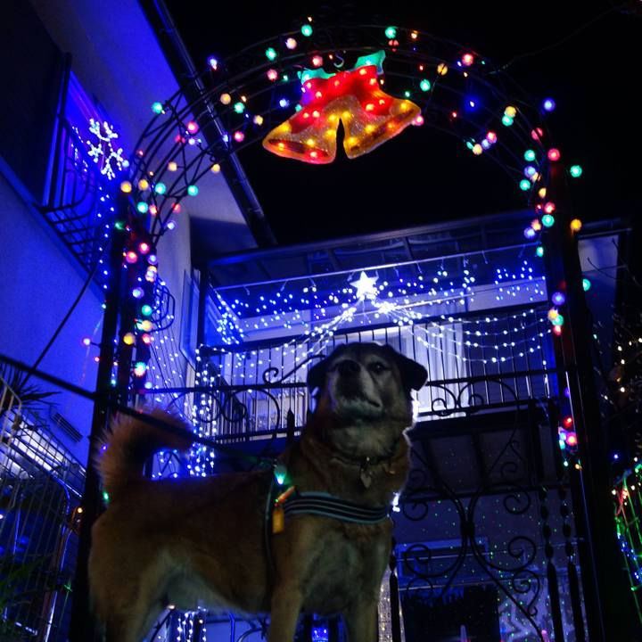 09b20976 6b81 4b3c a8e4 03a6b23e6e88 1655168786313