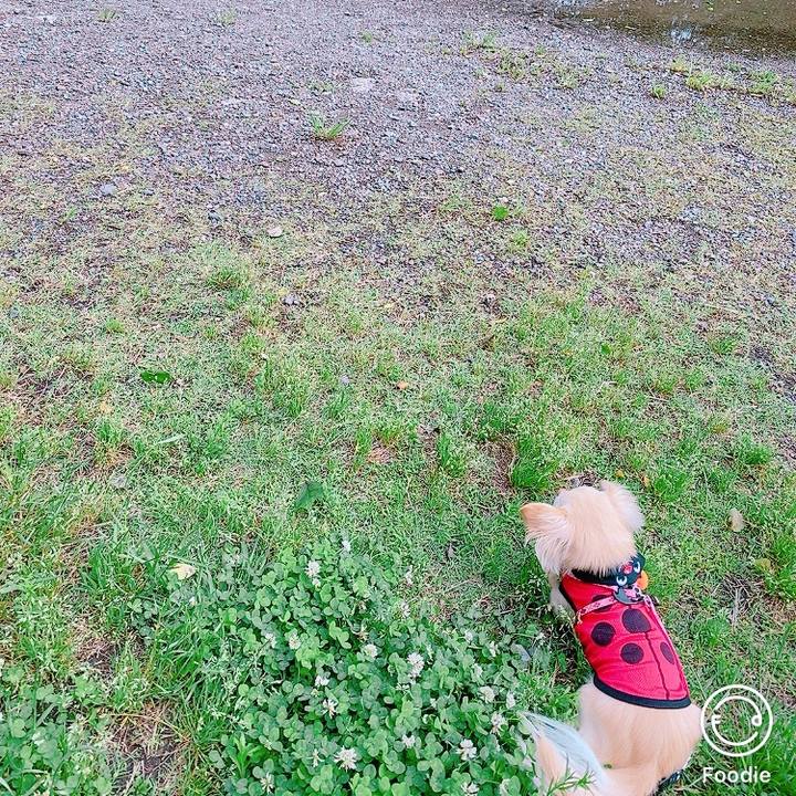 09b26aa4 d468 47b9 b93b fc560c74f9ae 1621586833031