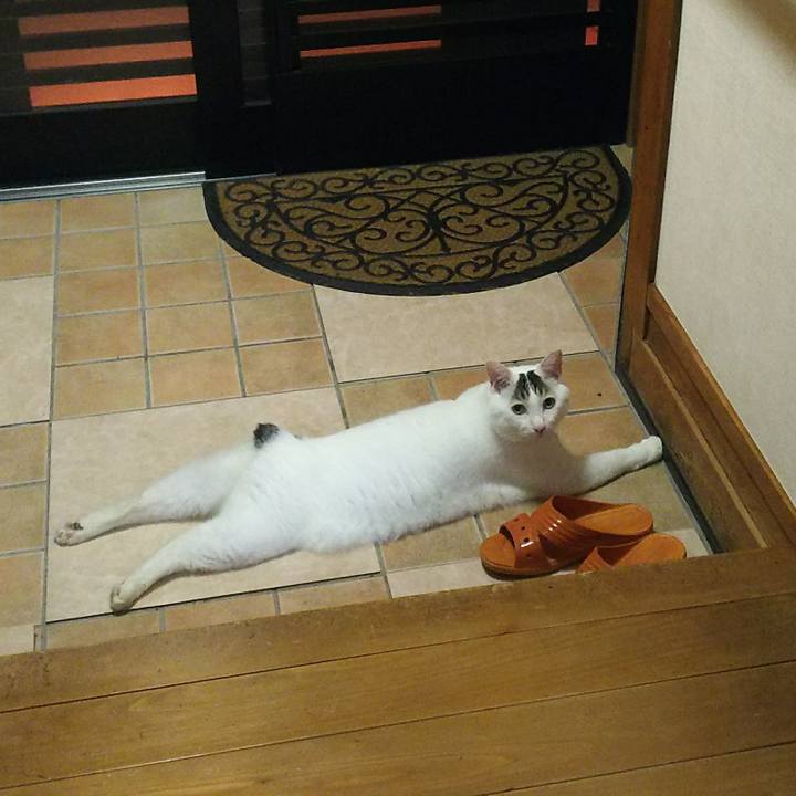 09b28fbc 9d4f 416f 9c37 d38ff82917d0 1532477175450