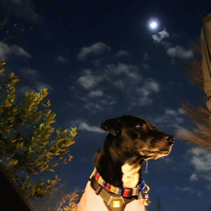 09b2d50b 4f36 4b06 a027 ab6ed6de3712 1644153103091