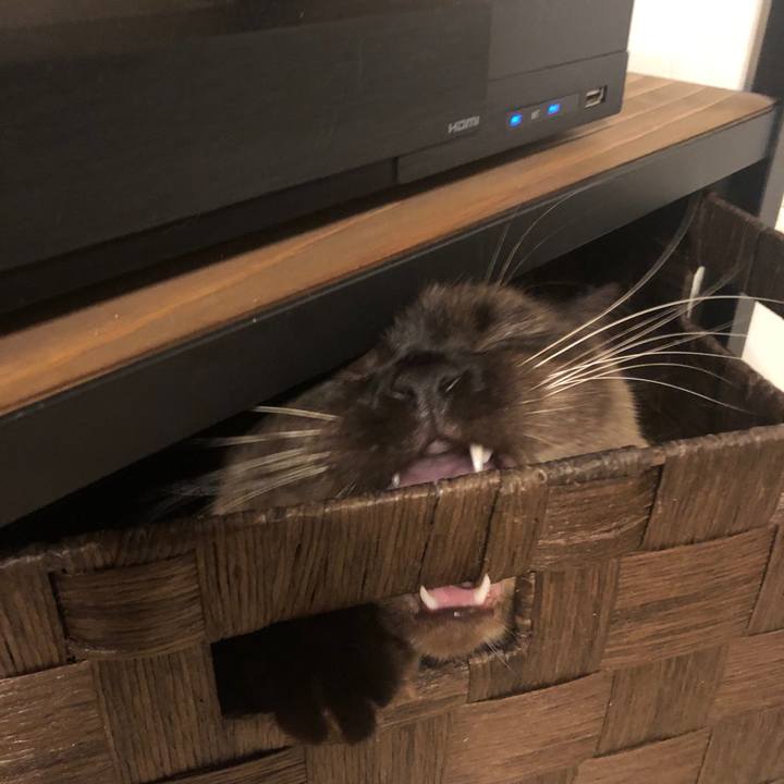 09b2dd71 fa97 40a1 b0c3 efc523aa7ecd 1618459123293