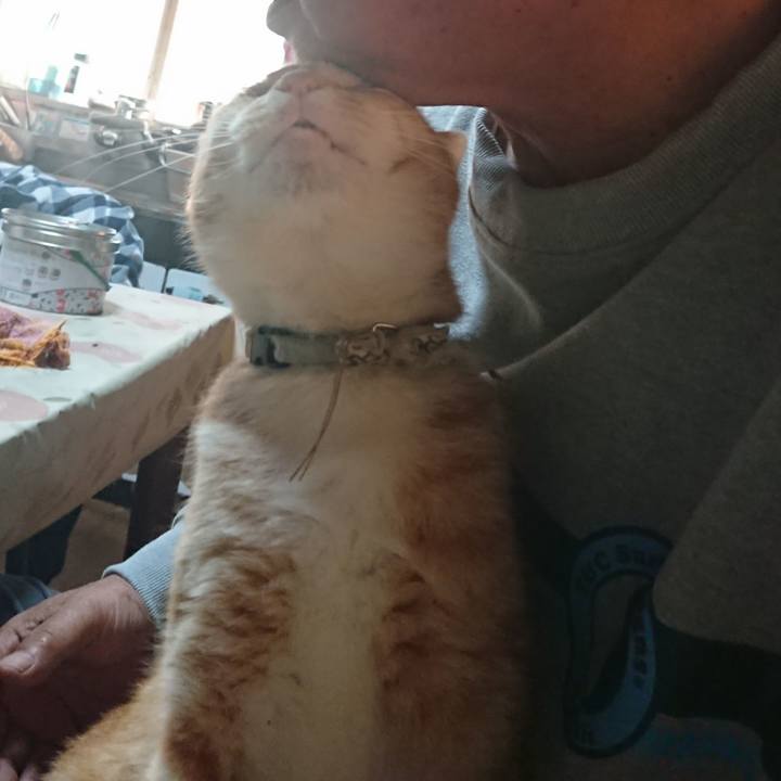 09b3048c aa3e 4c1d 9bbb 19e7f9814897 1592339236360