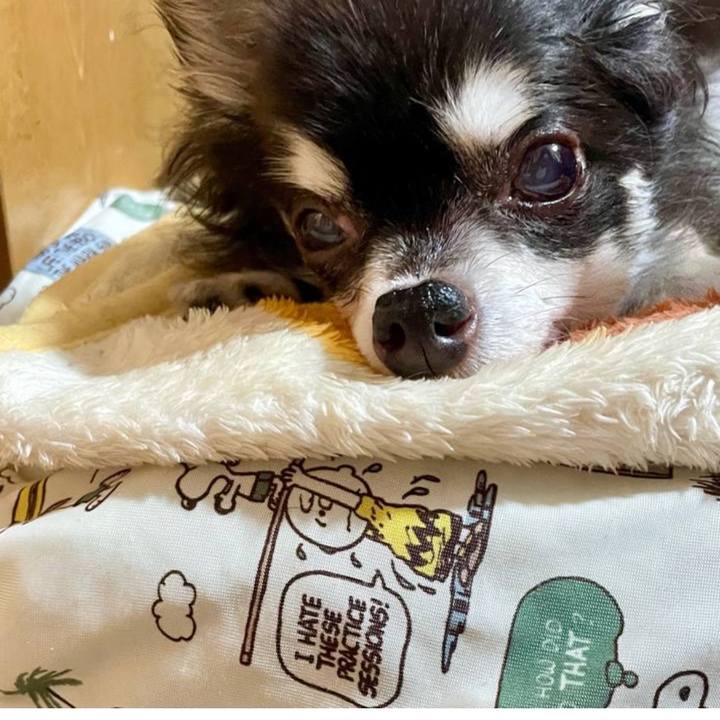 09b31b3c 8ab2 4c47 9a1c 88117200be66 1739795691401