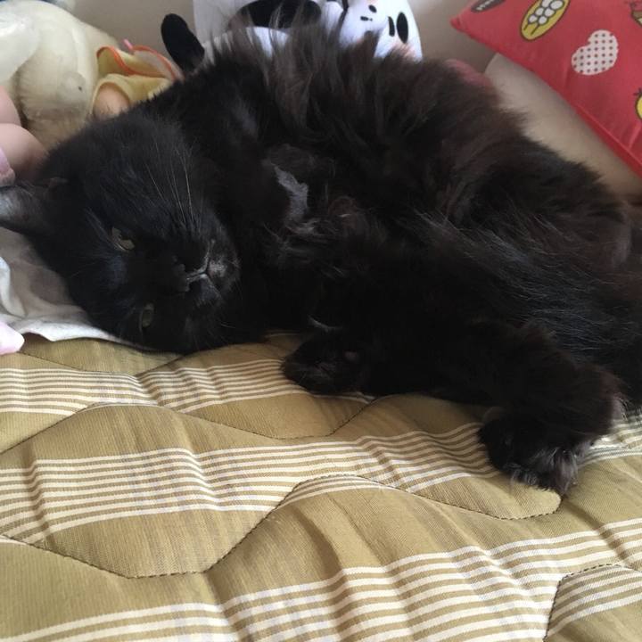 09b326e6 a1c0 4431 98d1 0793b502506e 1562288481962