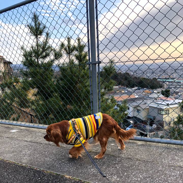 09b33c15 71e8 45e8 b091 d3b68c218637 1579911951897