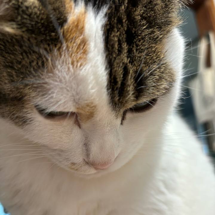 09b34510 662a 498b b23b fa5e0b0b2edb 1709170296144