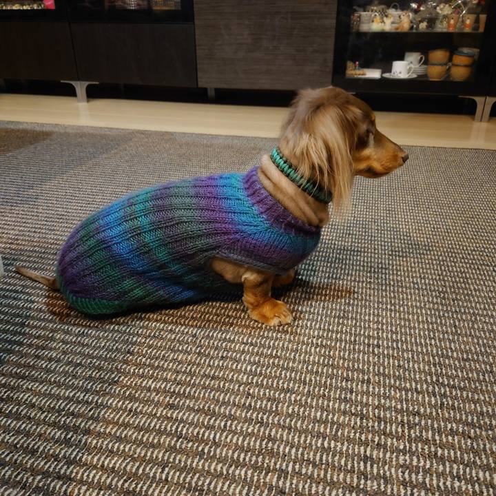 09b35316 9cd3 4629 ba03 c95a17e56041 1671961404311