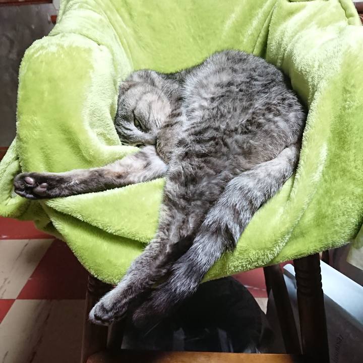 09b37a46 fc79 4e3c bf6d cfee4236a491 1582437035338