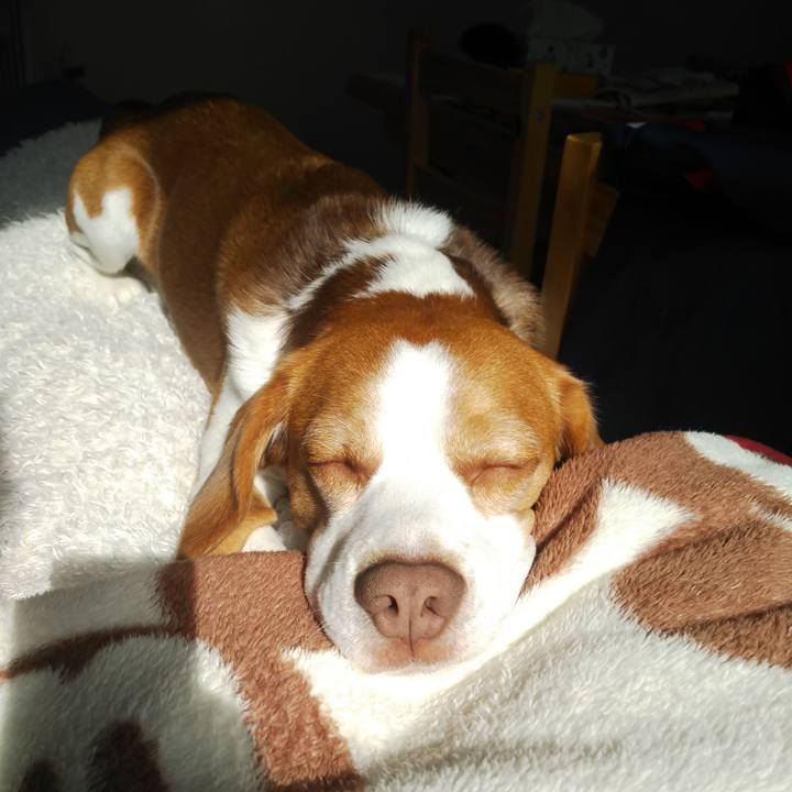 09b382a4 aaa7 4f77 beaf c42eca8b2a34 1604372930173