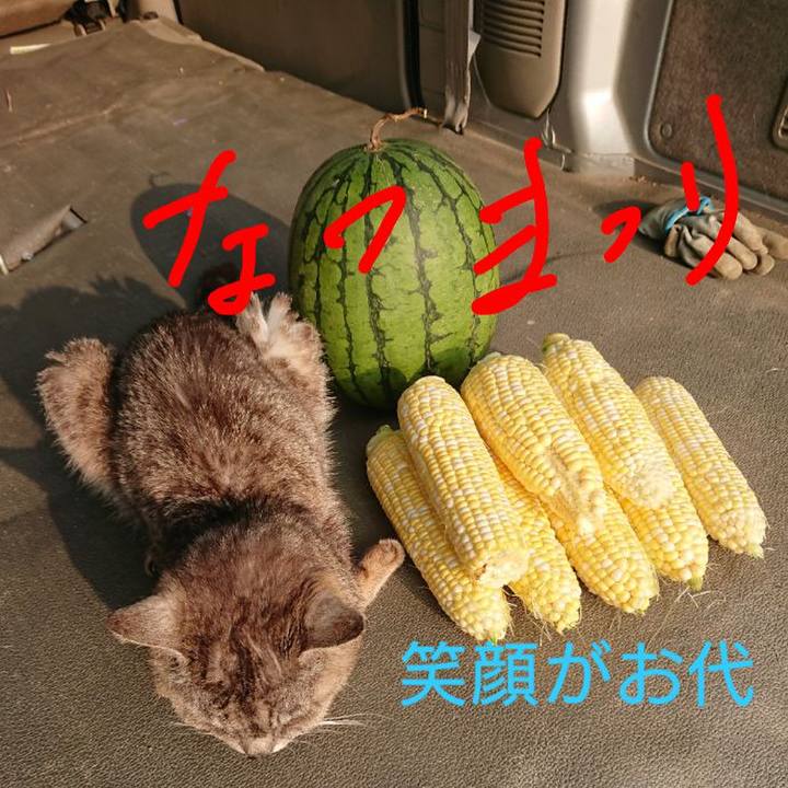 09b38fb9 0957 4cb8 b1d2 9dbe34529287 1596835359281