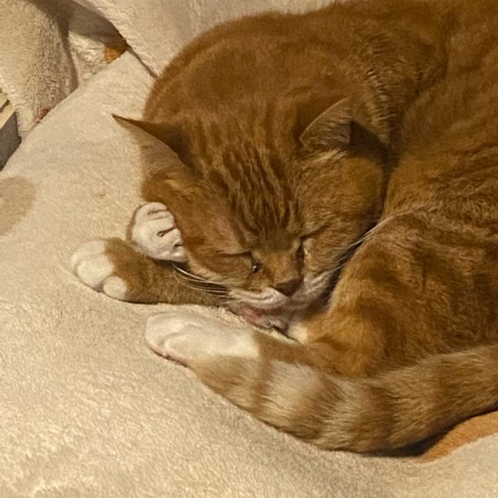 09b3d1fc e4bf 4e62 885f 835ef0272750 1679524254136